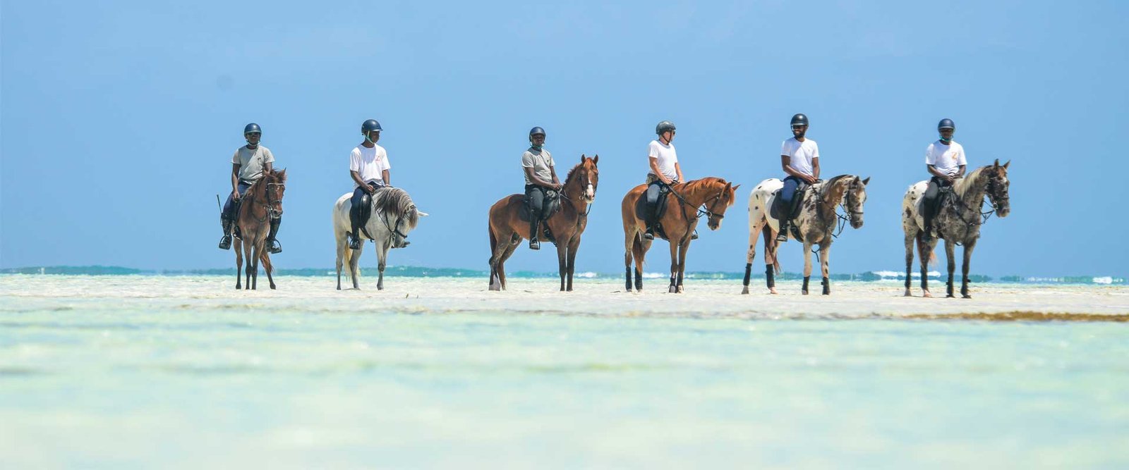 bfeedaafaZanzibarHorseClubridessandbank